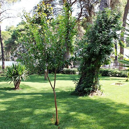 كاستيلانيتا مارينا Il Melograno B&B المظهر الخارجي الصورة